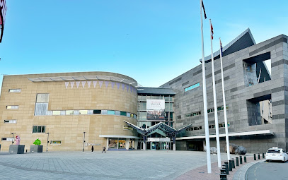 Te Papa Tongarewa Museum