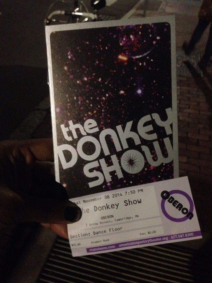 The Donkey Show