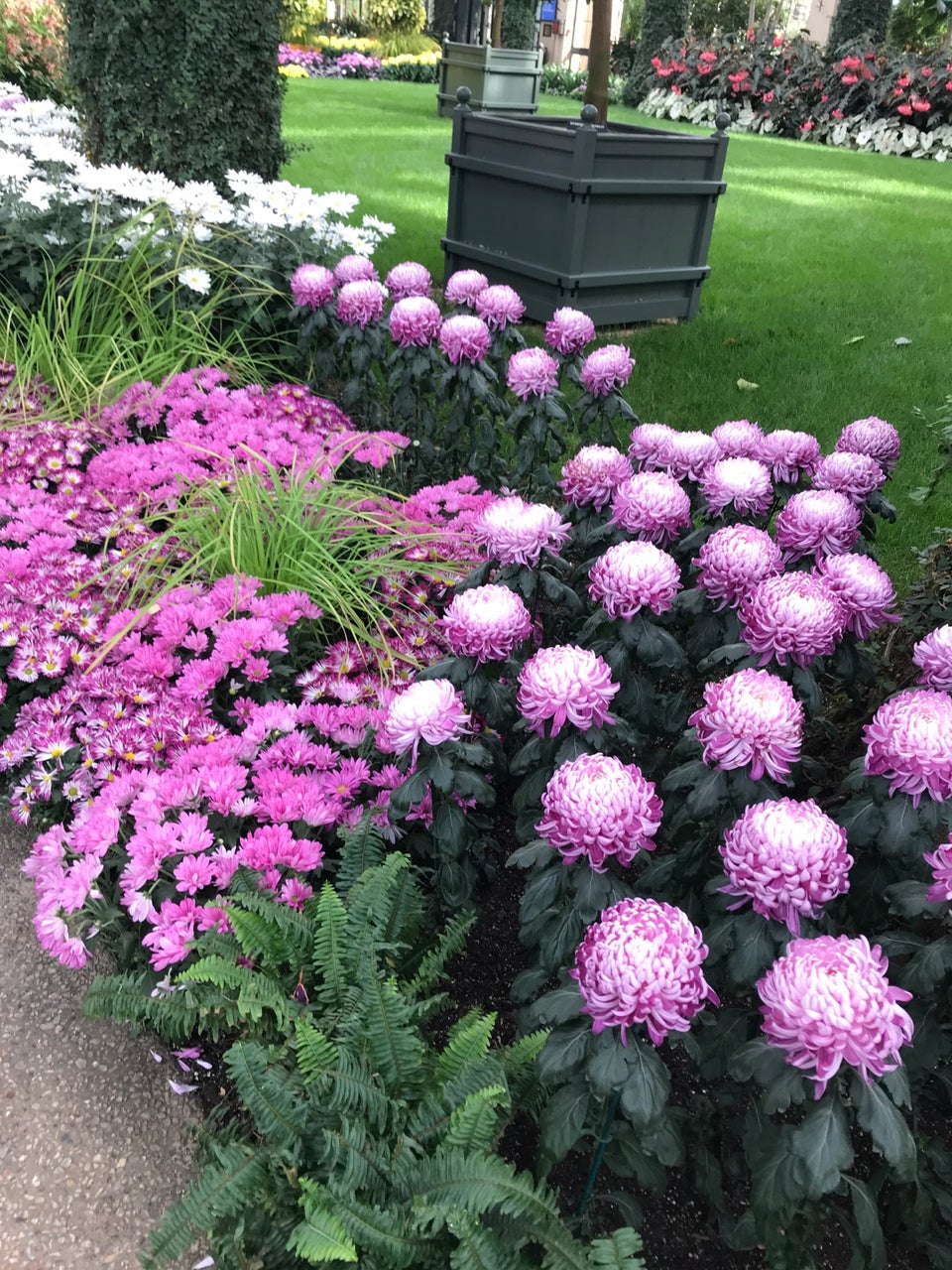 Photo of Longwood Gardens