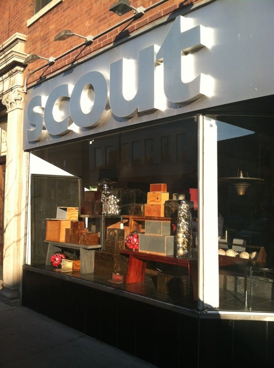 Photo of Scout