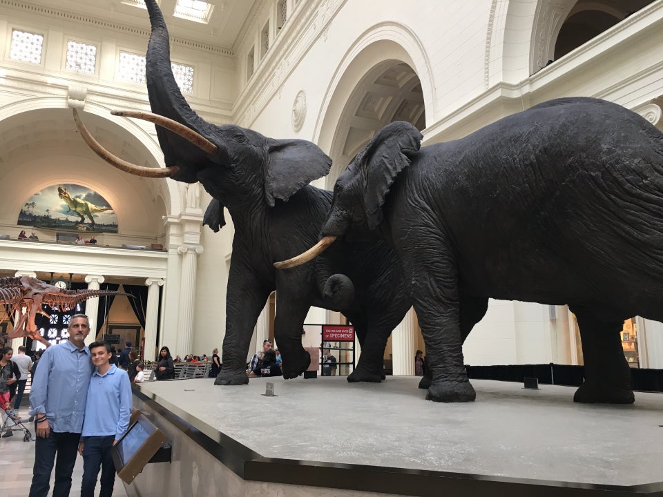 Field Museum