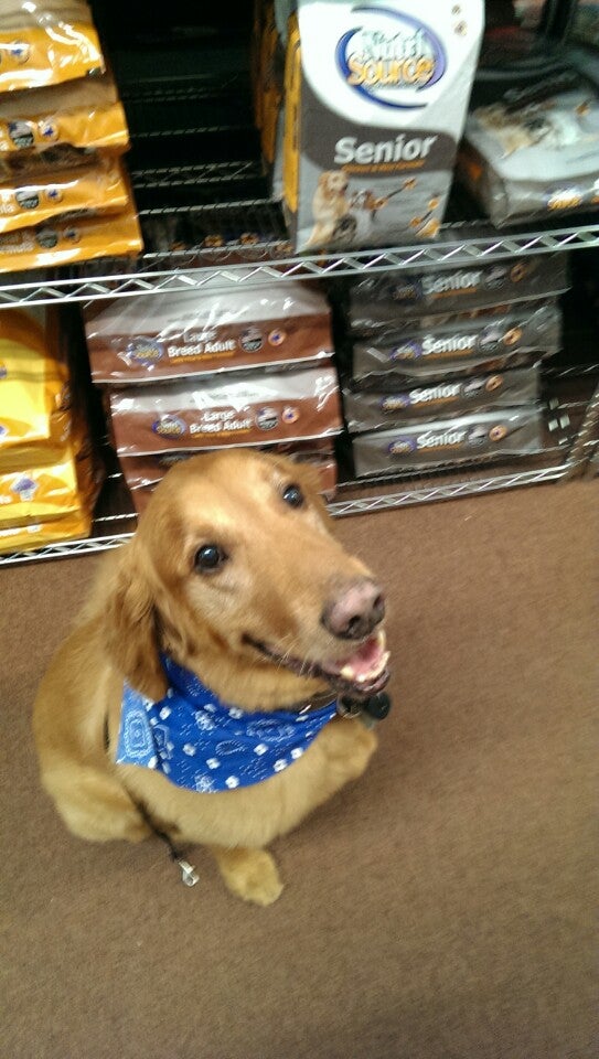 Lizzi and Rocco's Natural Pet Market
