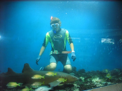 Photo of Curaçao Seaquarium