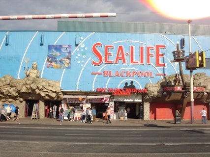 Sea Life Centre