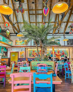 Photo of Bahama Breeze