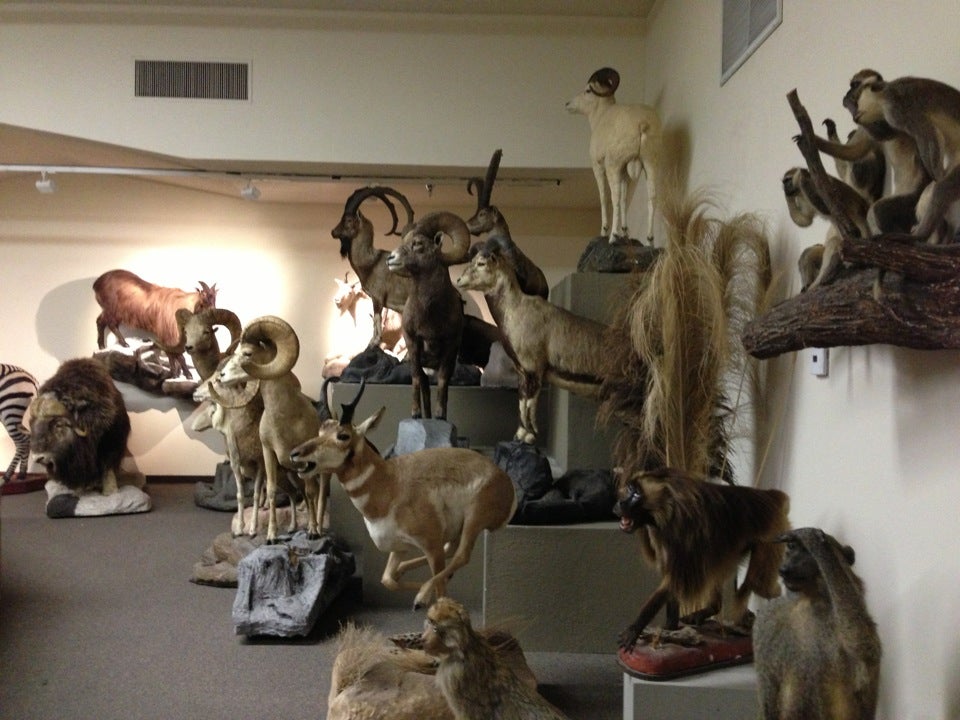 Las Vegas Natural History Museum