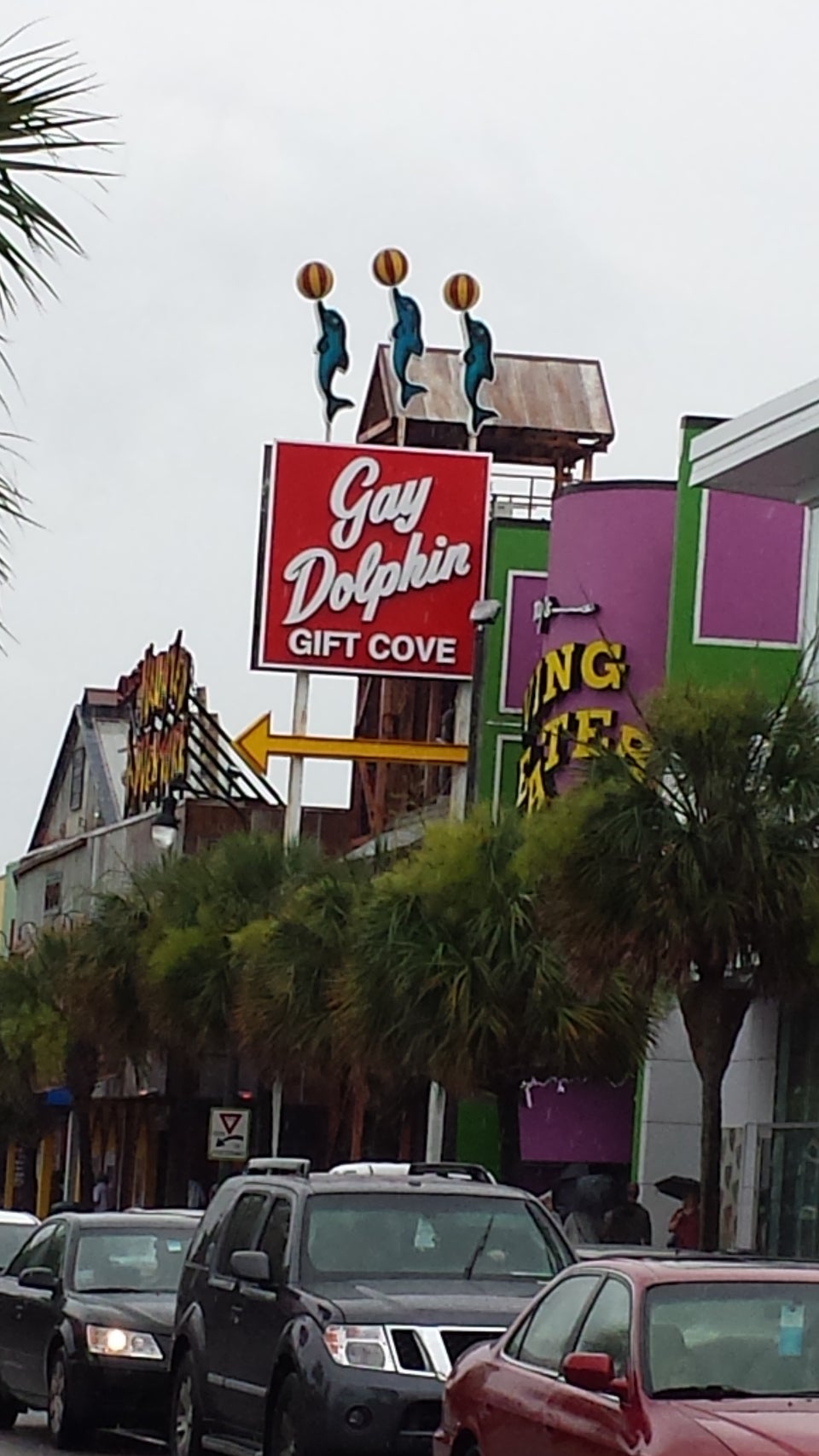 Gay Dolphin Gift Cove
