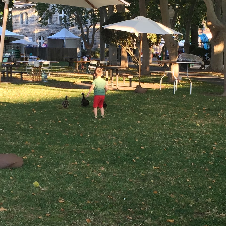 Town Square Inc