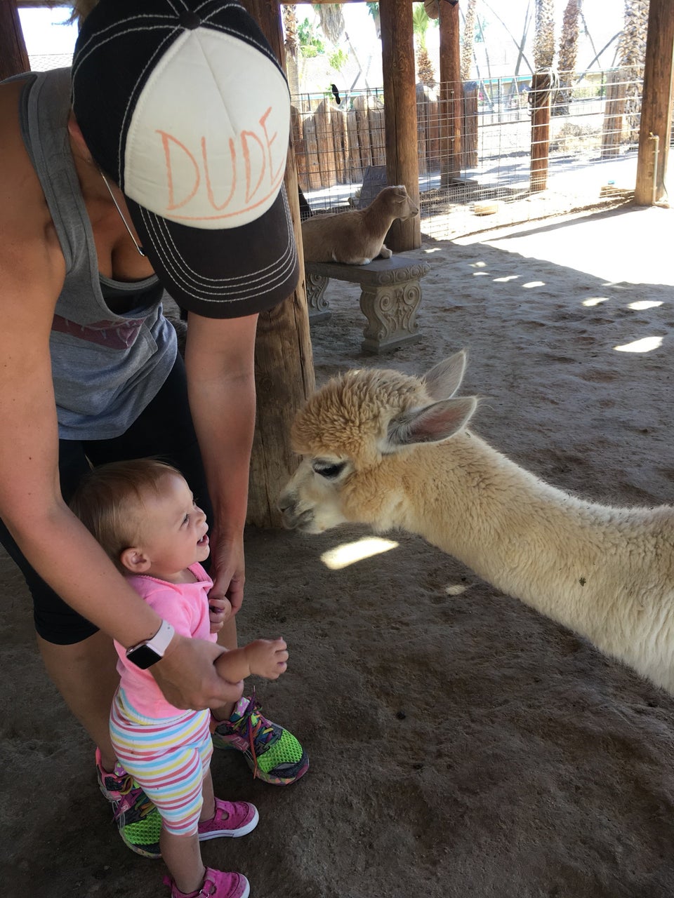Wildlife World Zoo, Aquarium & Safari Park