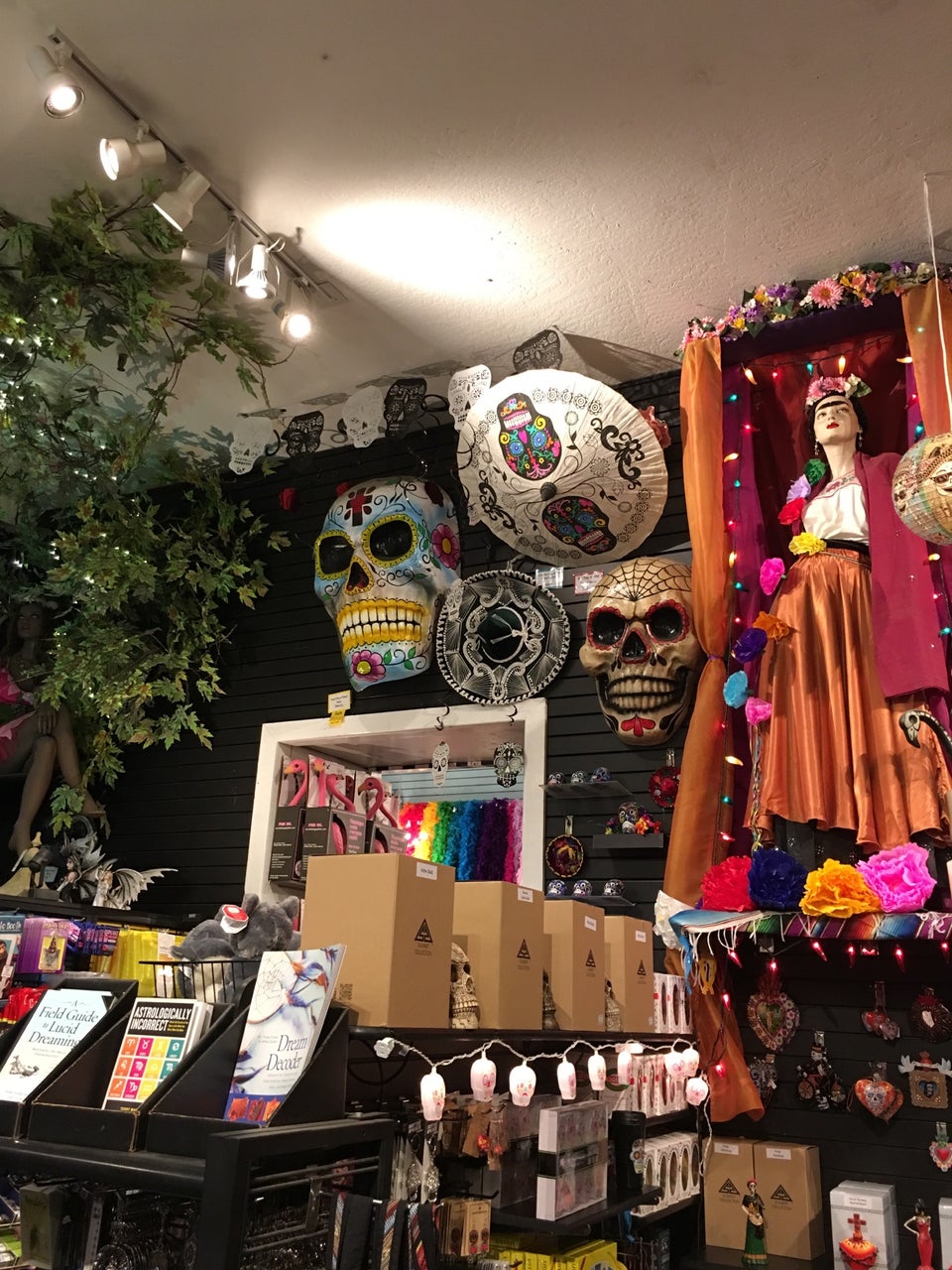 Photo of Evangeline's