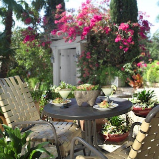 Photo of Paloma Blanca Mexican Cuisine