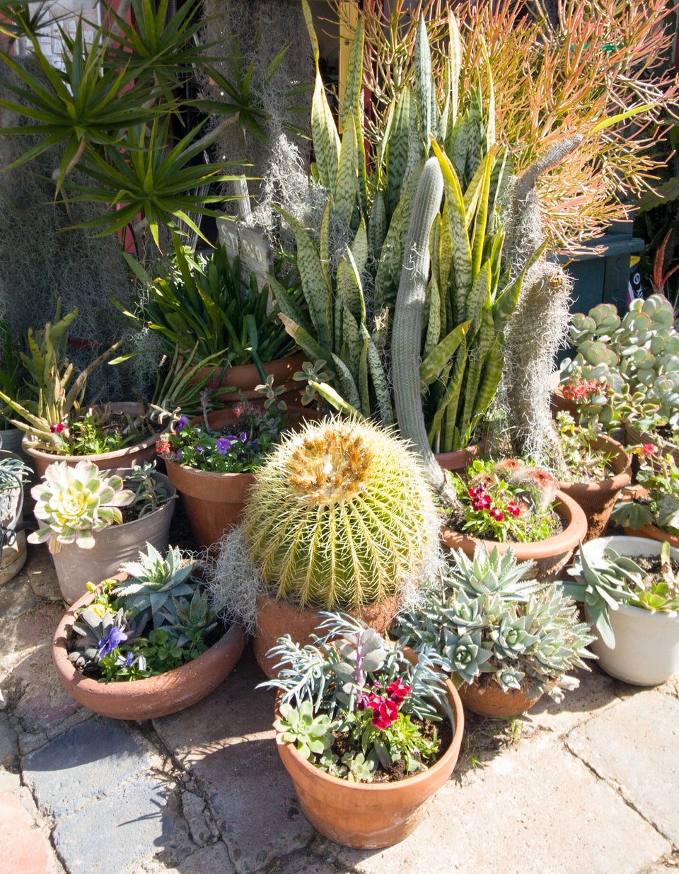 Photo of Spanish Village Art Center