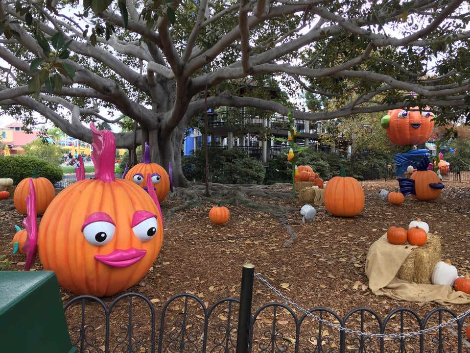 Photo of SeaWorld San Diego