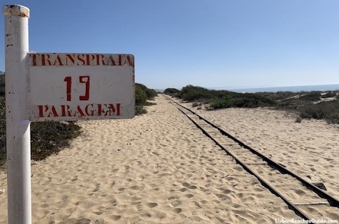 Photo of Naturist beach 19