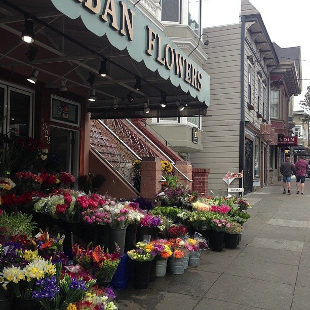Photo of Urban Flowers
