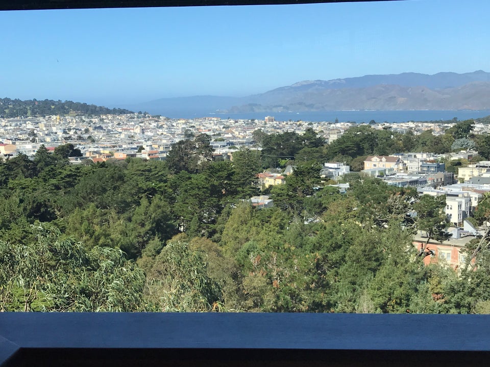 Photo of de Young Museum