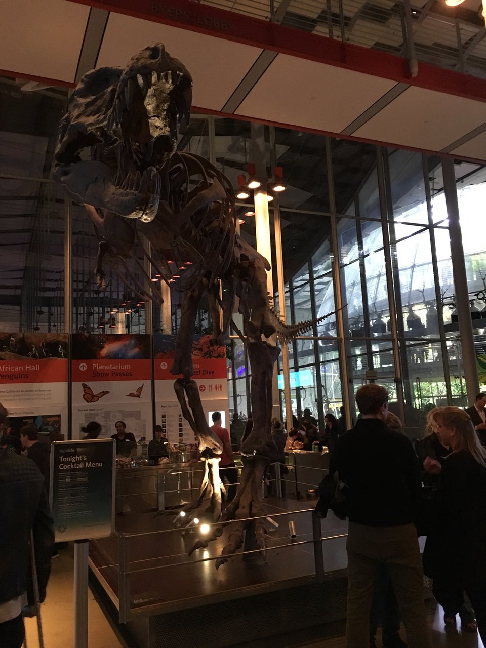 Photo of California Academy of Sciences