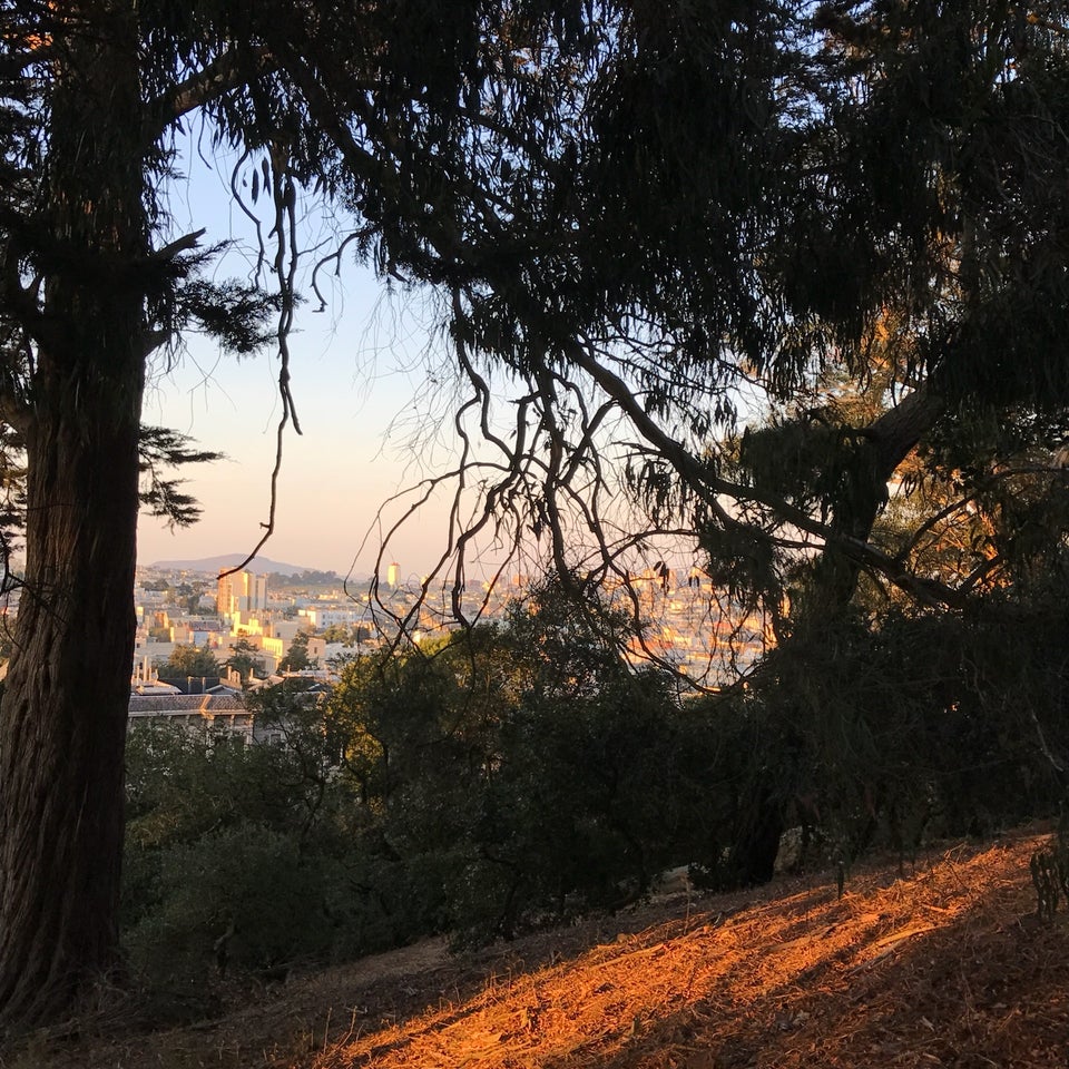 Buena Vista Park