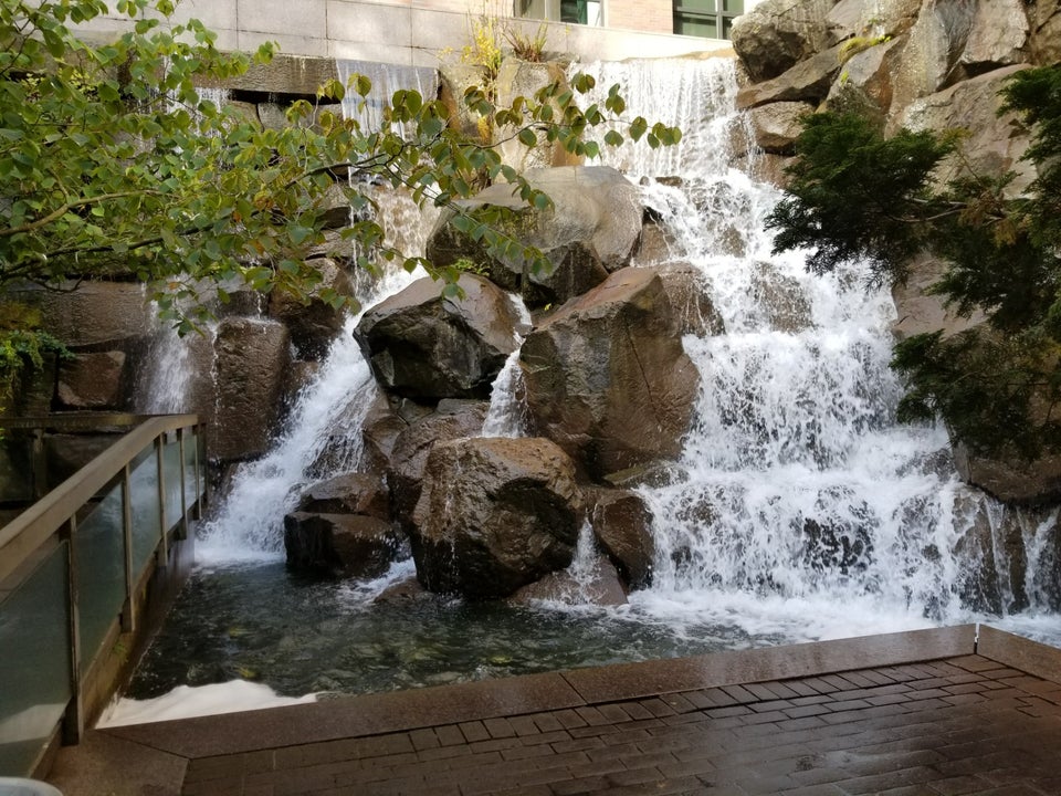 Photo of Waterfall Garden