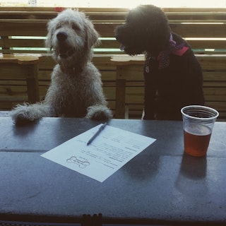 The Dog Bar