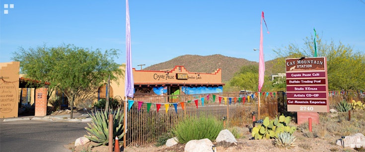 Cat Mountain Station