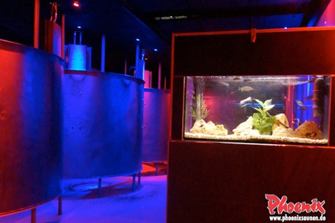 Phoenix Sauna Düsseldorf