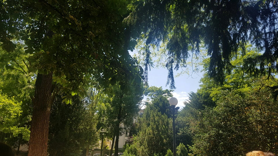 Liebieghaus