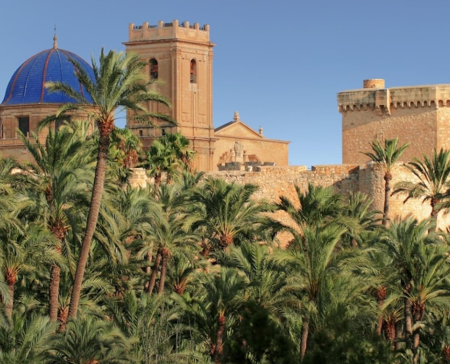 Photo of Elche