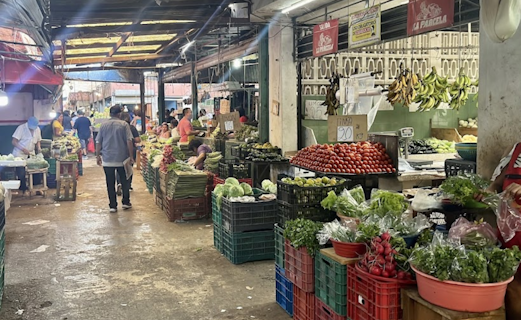 Mercado San Benito