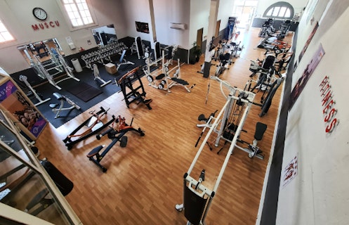 Open Gym